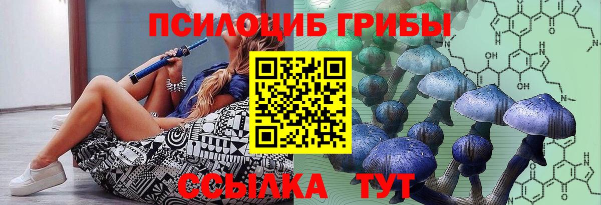 Псилоцибиновые грибы мицелий  Вход с VPN  Галлюциногенные грибы Cubensis  Нижнеудинск 